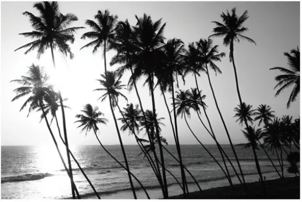 Palm Trees Canvas Print Grey 600 x 900 mm Cloth Soft Touch 1 Stretched Canvas Board canvas