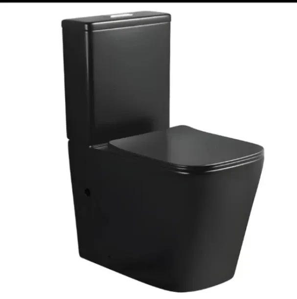 Lucile Western Two-piece Floor Mount Round Commode for Domestic