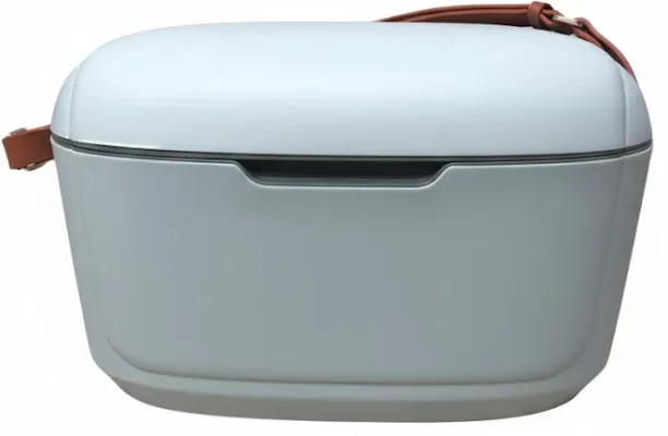 portable cooler box 12L COOLER BOX Collapsible Cooler Bag