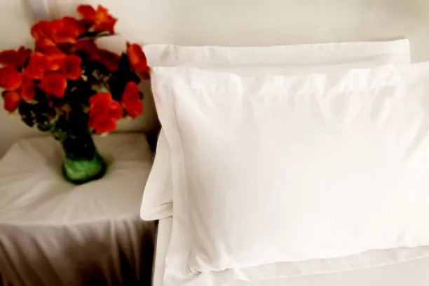 Simply Sleep Oxford Pillow Cover Set - Standard Plain Pillow Cases