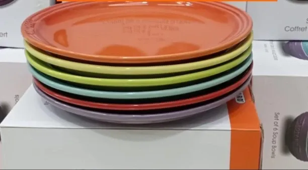 LEOPARD Pack of 6 Ceramic, Stoneware RAINBOW DINNER PLATES 6 PIECE Dinner Set