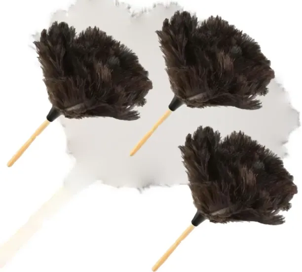 Better Buys Premium Ostrich Feather Duster Wet and Dry Duster