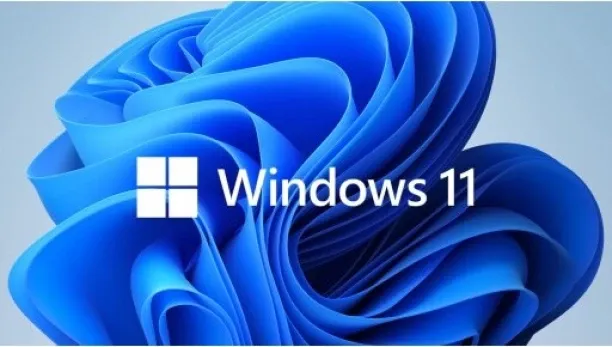 Microsoft Windows 11 Professional (2 Users) - Bundle Deal!!