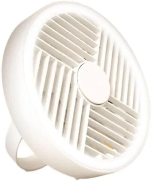 2 in 1 LED Lighting Camping Fan ZAR64 A 10 mm Table Fan