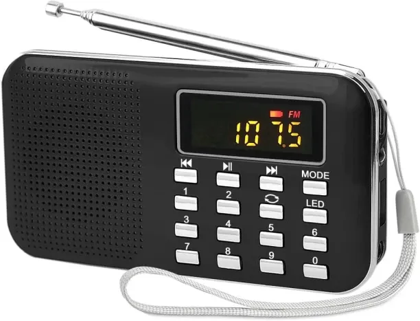 WEIWEISTORE Leting Radios Portable AM/FM MP3 Speaker, Supports Micro SD/USB, Records Music, Recharg…