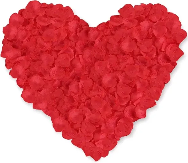 No Name Red Roses