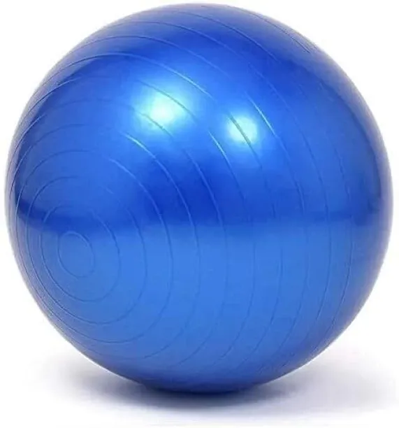 Just Simplified Exercise Fitness Aerobic Yoga Ball 65 cm Gym Ball