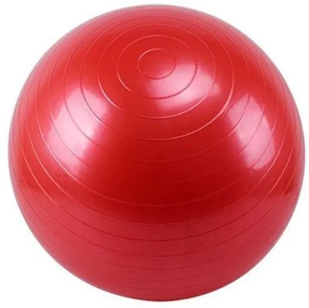 Zzztrade 65cm Anti-Burst Gym and Yoga Ball 65 cm Gym Ball