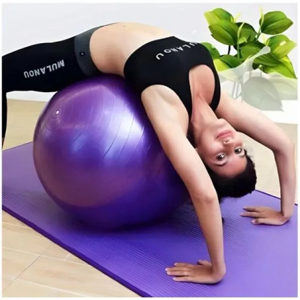 deals online Fitness Yoga Ball Exercise Ball -Gym Ball-75cm-Purple 75 cm Gym Ball