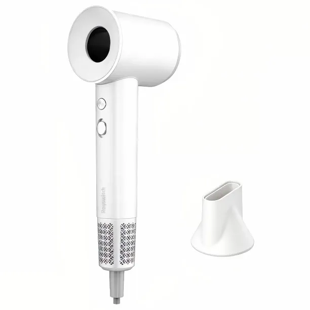 Rayswitch Professional high-speed hair dryer Hair Dryer