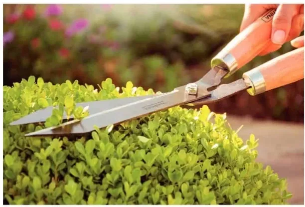 Orange Hedge Shear Hedge Shear
