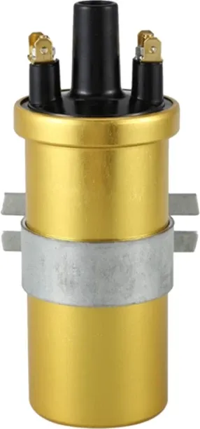 Huanix Gold,NEW-Car High Performance Standard 12V Sports Ignition Coil DLB105 Ignition System Acces…