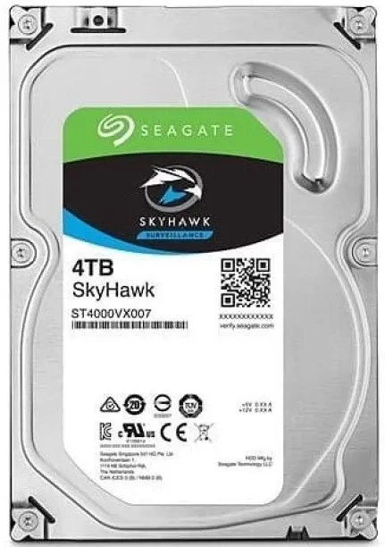 Seagate 4 TB HDD (4TB Surveillance HDD 256MB Cache 3.5 inch Internal HDD)