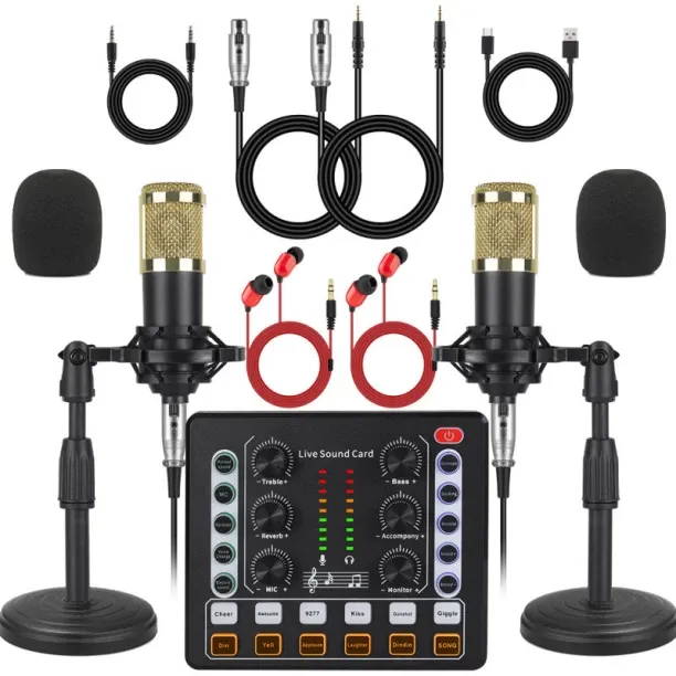 Solala Sound card live broadcast equipment, microphone dual microphone desktop disc stand mobile ph…