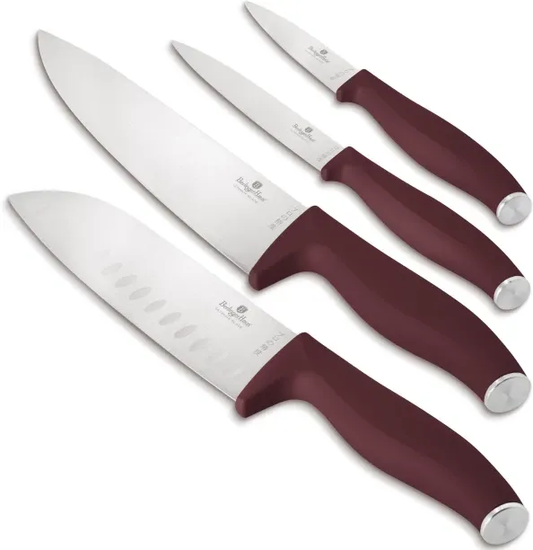 Berlinger Haus 4 Piece Stainless Steel Multipurpose 4-Piece Knife Set – Leonardo