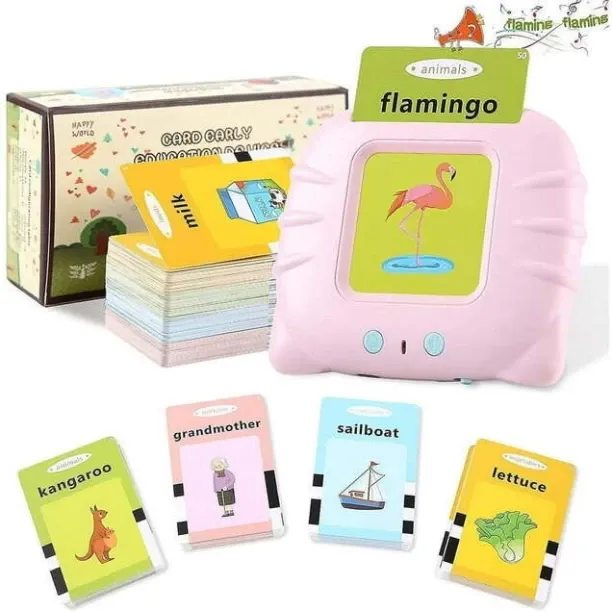 CARD READING TOYS Audible Card Reading Toy History & Geography