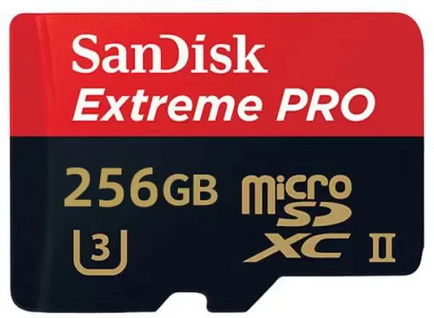 SanDisk Extreme PRO MicroSDXC 256 GB  Memory Card