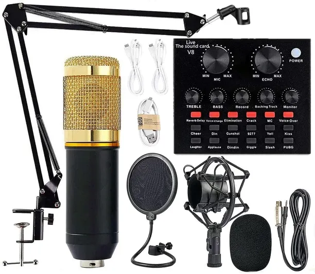 PROFESSIONAL CONDENSER MICROPHONES GENERIC RN-34 PROFESSIONAL CONDENSER MICROPHONES Microphone