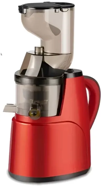Generic Slow Juicer - Electric Cold Press Juicer 800 W Juicer (1 Jar, Res)