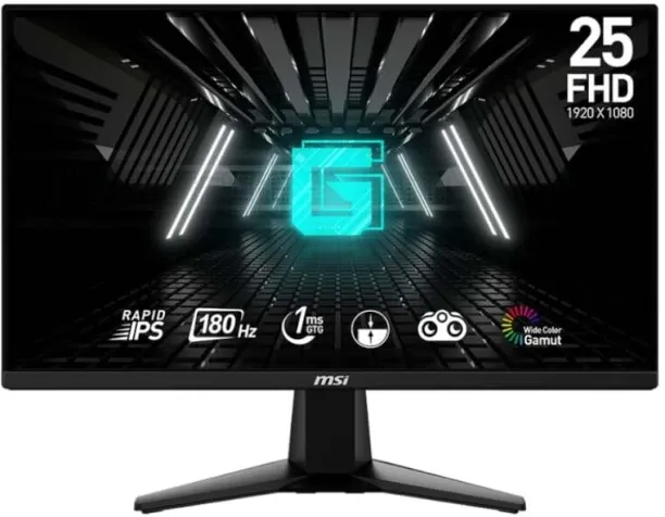 MSI 24.5 inch Full HD IPS Panel Monitor (G255F 25″ Gaming Monitor)