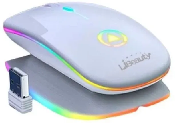 LiBeauty Ultra Thin and Soft Click Wireless LED Rechargeable Mouse Wireless