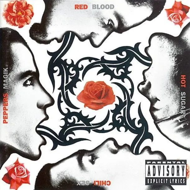 Blood Sugar Sex Magik Repress Vinyl Album Rock