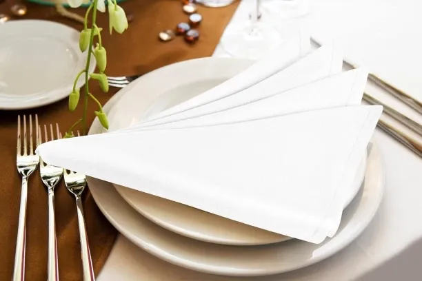 Charms NAPKIN CHEFEQUIP 350 x 350 mm– WHITE White Cloth Napkins
