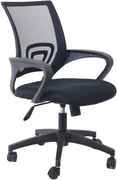 Infinity Homeware OEC-BLK Office Adjustable Arm Chair