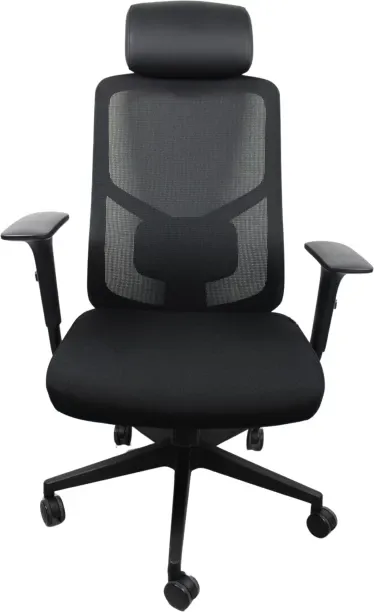 ergonomicsdirect Ergo Essential Ergonomic Office Chair with headrest Office Arm Chair