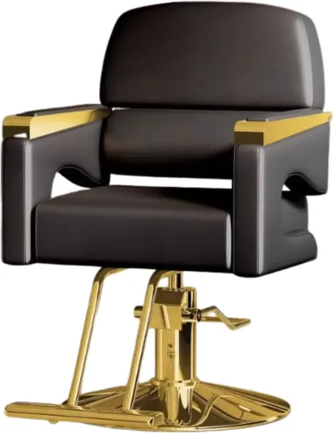 ANKA Hair Salon Chair, Barber Chair with Heavy Duty Hydraulic Pump, Height Adjustable, 360° Swivel …