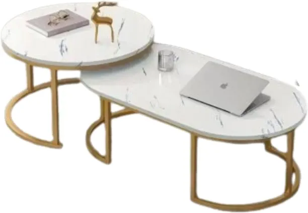 Generic FU3035 2-Piece White and Gold Cooffe Table Set 50x100x36.5cm and 60x42.3cm Coffee Table