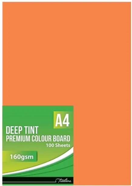 TREELINE A4 160 gsm Project Paper
