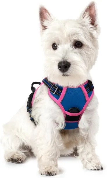 Shiyuan Dog Harness, No-Pull Pet Harness with 2 Leash Clips, Adjustable Soft Padded Dog Vest, Refle…