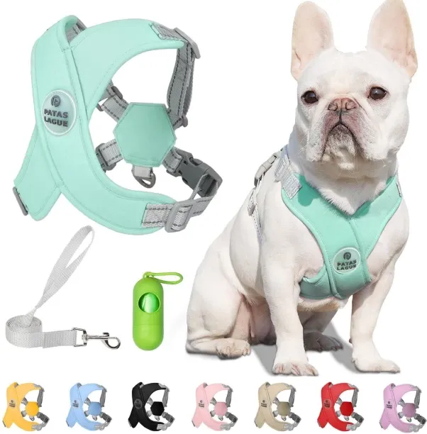 Junxidz Patas Lague Dog Harness with Leash Set Adjustable Soft Padded Step-in Dog Vest No Choke No …