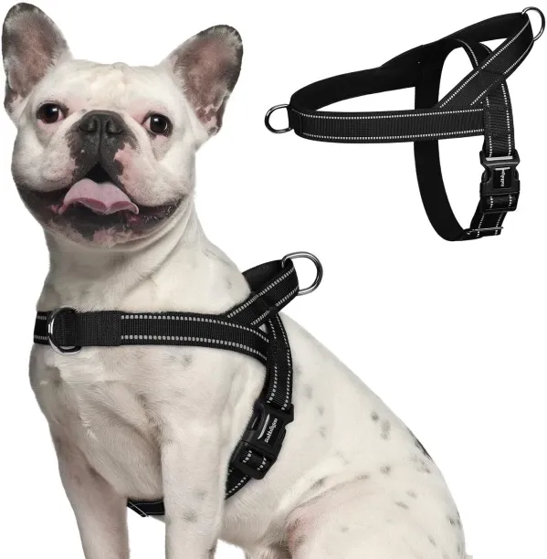 Junxidz Dog Harness No Pull, Quick Fit for Small Dogs with Soft Padded Handle, Chest Adjustable Ref…