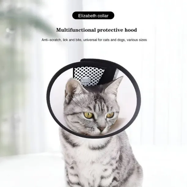 MiMi World Protective Pet Collar for Pet Wound Recovery SIZE:XS Dog & Cat Head Collar