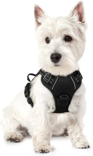 Shiyuan Dog Harness, No-Pull Pet Harness with 2 Leash Clips, Adjustable Soft Padded Dog Vest, Refle…