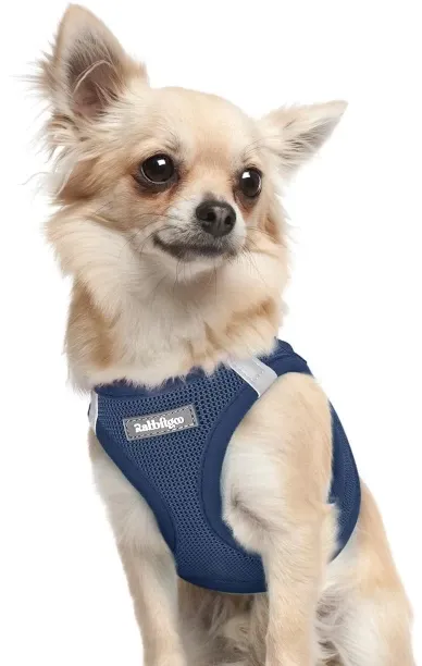 Junxidz Small Dog Harness, Step-in Soft Mesh Puppy Vest with Safety Buckle, Breathable Reflective P…