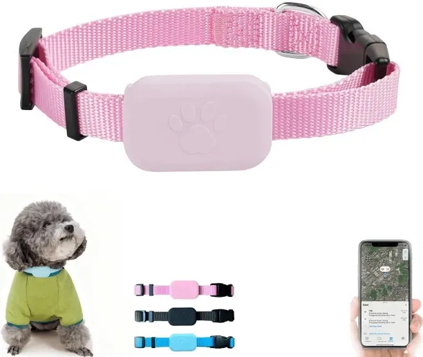 WEIWEISTORE na Dog Everyday Collar