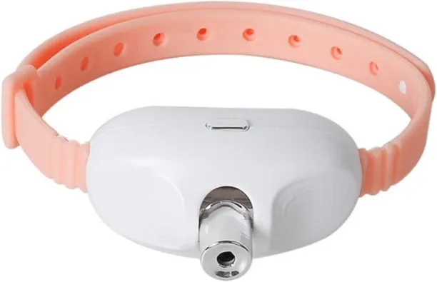 Fariedl Interactive Laser Cat Toys for Indoor Cats Cat Collar & Chain