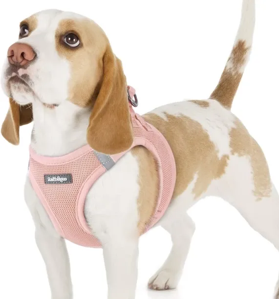 Junxidz Small Dog Harness, Step-in Soft Mesh Puppy Vest with Safety Buckle, Breathable Reflective P…