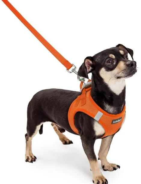 Junxidz Dog Harness Small Sized and Leash Set, Step in Soft Light Puppy Vest, Breathable Mesh Pet H…