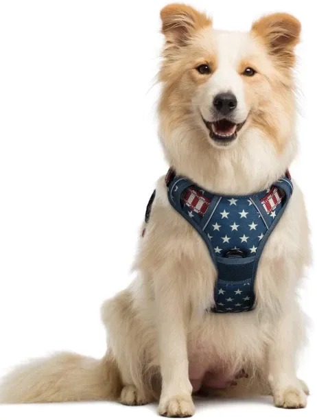 Junxidz Dog Harness, No-Pull Pet Harness with 2 Leash Clips, Adjustable Soft Padded Dog Vest, Refle…