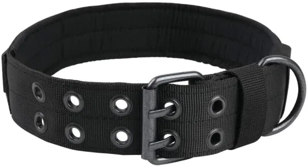 ALANES AL-133600 Dog Everyday Collar