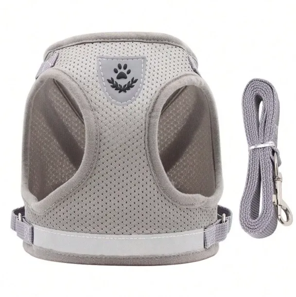 Paw Comfort PL-02 1.5 cm Dog & Cat Braided Leash