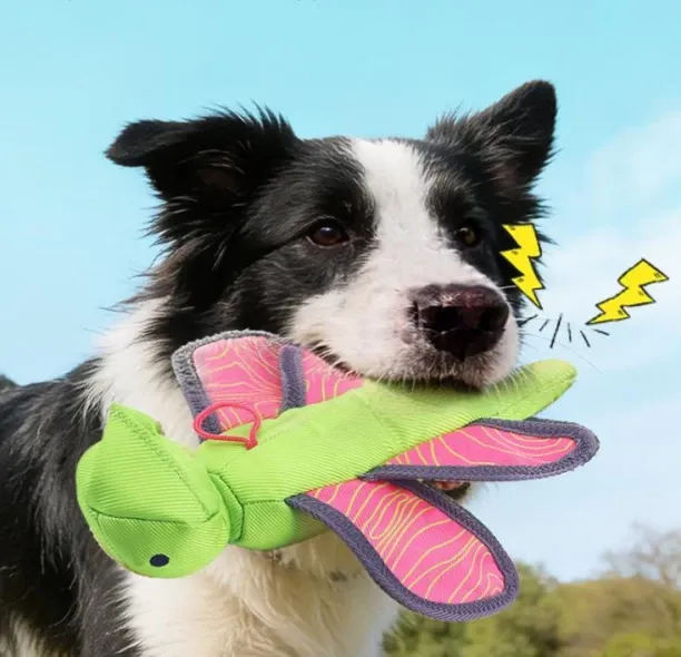 Solala Dog outdoor toys, interactive throwing and sounding Oxford cloth dog toys for pets, ejection…
