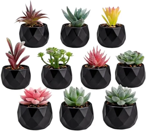 Lamora E Pot Indoor Plant Container Set