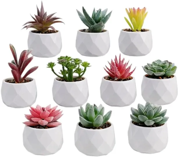 Lamora E Pot Indoor Plant Container Set