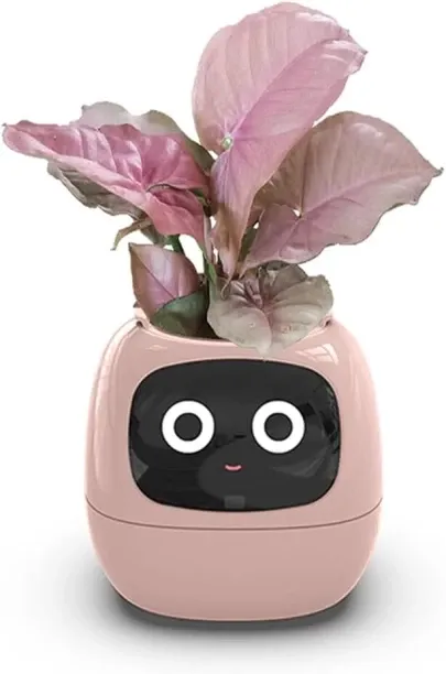 Bloo Self Watering Indoor Plant Container Set