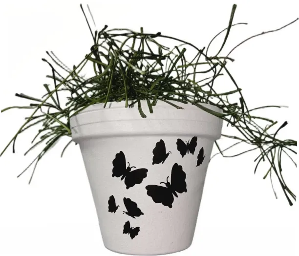 Pixels and Petals Pot Outdoor Plant Container Set